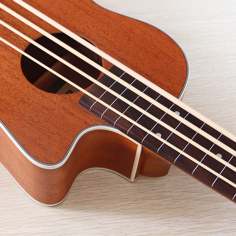 Fretless&Fretted Electric Ukul - Ukulele Beginner Kit review and price