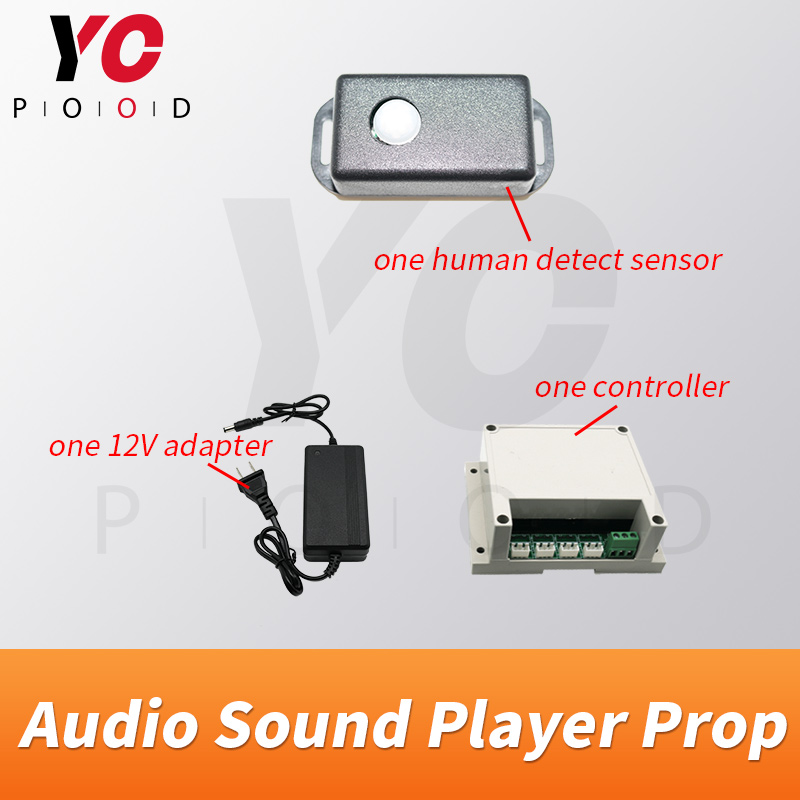 YOPOOD Audio player human dete - Audio Detect Music review and price